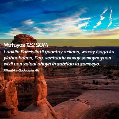 Picture 02 - Matayos 12:2 SOM - Laakiin Farrisiintii goortay arkeen, waxay isaga - Bible Verse Picture