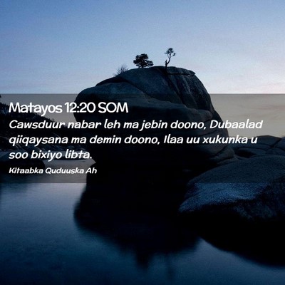 Picture 02 - Matayos 12:20 SOM - Cawsduur nabar leh ma jebin doono, Dubaalad - Bible Verse Picture