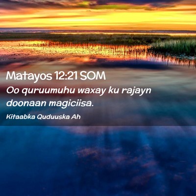Picture 02 - Matayos 12:21 SOM - Oo quruumuhu waxay ku rajayn doonaan - Bible Verse Picture