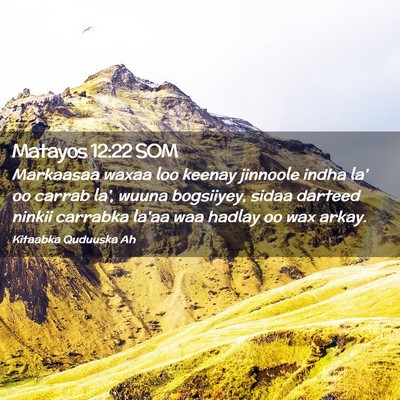 Picture 02 - Matayos 12:22 SOM - Markaasaa waxaa loo keenay jinnoole indha la' oo - Bible Verse Picture