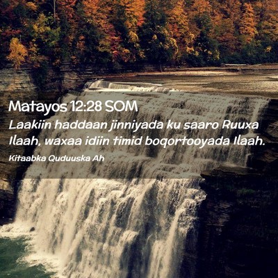Picture 02 - Matayos 12:28 SOM - Laakiin haddaan jinniyada ku saaro Ruuxa Ilaah, - Bible Verse Picture
