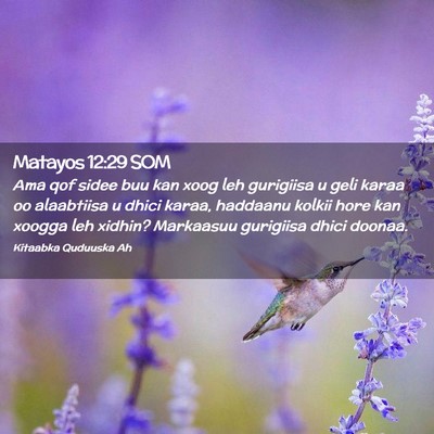 Picture 02 - Matayos 12:29 SOM - Ama qof sidee buu kan xoog leh gurigiisa u geli - Bible Verse Picture