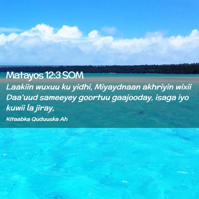 Picture 02 - Matayos 12:3 SOM - Laakiin wuxuu ku yidhi, Miyaydnaan akhriyin wixii - Bible Verse Picture