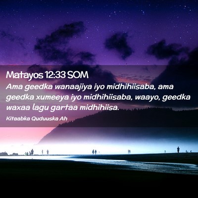 Picture 02 - Matayos 12:33 SOM - Ama geedka wanaajiya iyo midhihiisaba, ama geedka - Bible Verse Picture