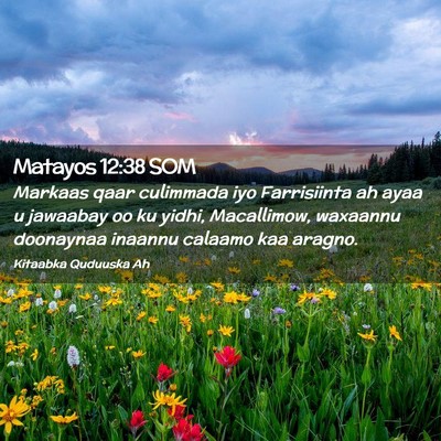 Picture 02 - Matayos 12:38 SOM - Markaas qaar culimmada iyo Farrisiinta ah ayaa u - Bible Verse Picture