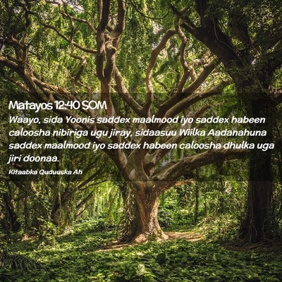 Picture 02 - Matayos 12:40 SOM - Waayo, sida Yoonis saddex maalmood iyo saddex - Bible Verse Picture