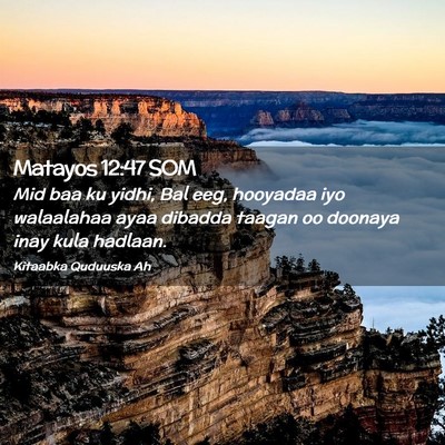 Picture 02 - Matayos 12:47 SOM - Mid baa ku yidhi, Bal eeg, hooyadaa iyo - Bible Verse Picture