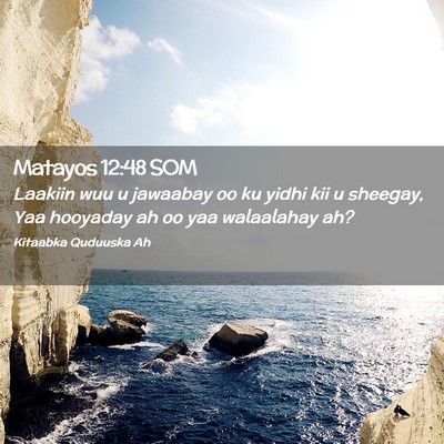 Picture 02 - Matayos 12:48 SOM - Laakiin wuu u jawaabay oo ku yidhi kii u sheegay, - Bible Verse Picture