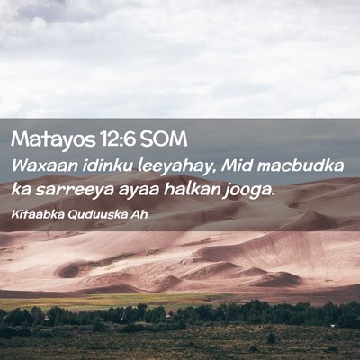 Picture 02 - Matayos 12:6 SOM - Waxaan idinku leeyahay, Mid macbudka ka sarreeya - Bible Verse Picture
