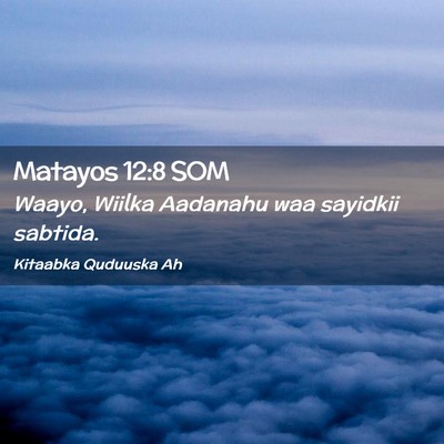 Picture 02 - Matayos 12:8 SOM - Waayo, Wiilka Aadanahu waa sayidkii - Bible Verse Picture
