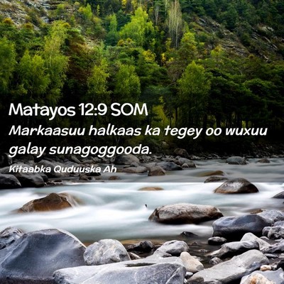 Picture 02 - Matayos 12:9 SOM - Markaasuu halkaas ka tegey oo wuxuu galay - Bible Verse Picture