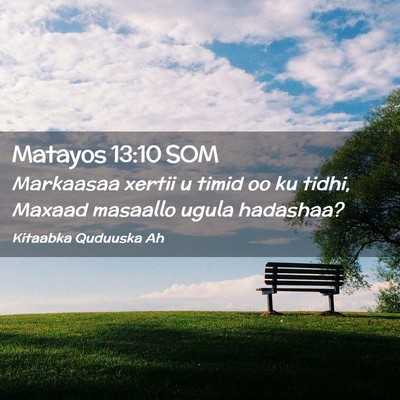 Picture 02 - Matayos 13:10 SOM - Markaasaa xertii u timid oo ku tidhi, Maxaad - Bible Verse Picture