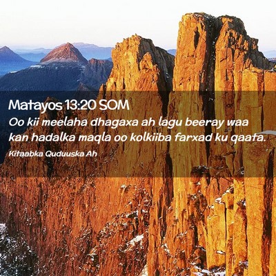 Picture 02 - Matayos 13:20 SOM - Oo kii meelaha dhagaxa ah lagu beeray waa kan - Bible Verse Picture