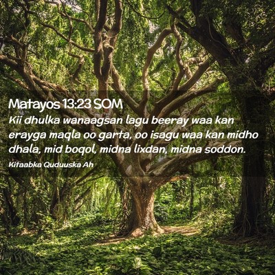 Picture 02 - Matayos 13:23 SOM - Kii dhulka wanaagsan lagu beeray waa kan erayga - Bible Verse Picture