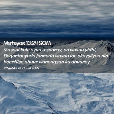 Picture 02 - Matayos 13:24 SOM - Masaal kale ayuu u saaray, oo wuxuu yidhi, - Bible Verse Picture