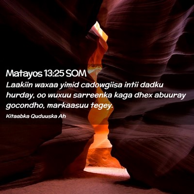 Picture 02 - Matayos 13:25 SOM - Laakiin waxaa yimid cadowgiisa intii dadku - Bible Verse Picture