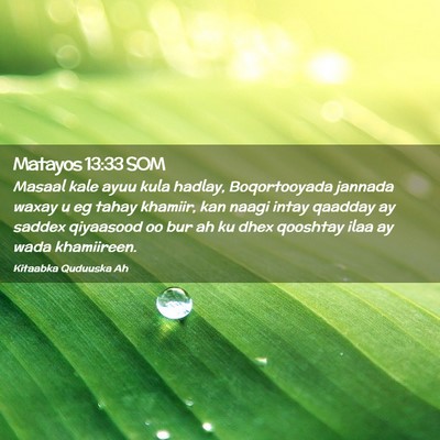 Picture 02 - Matayos 13:33 SOM - Masaal kale ayuu kula hadlay, Boqortooyada - Bible Verse Picture