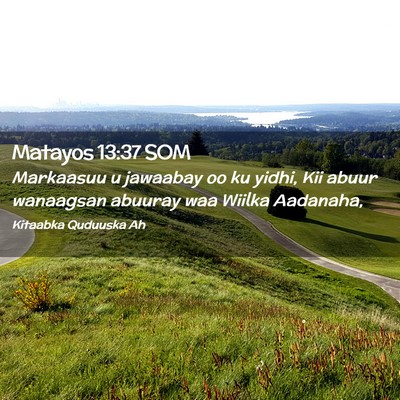 Picture 02 - Matayos 13:37 SOM - Markaasuu u jawaabay oo ku yidhi, Kii abuur - Bible Verse Picture