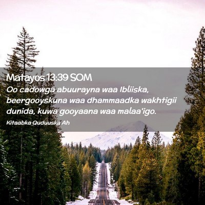 Picture 02 - Matayos 13:39 SOM - Oo cadowga abuurayna waa Ibliiska, beergooyskuna - Bible Verse Picture