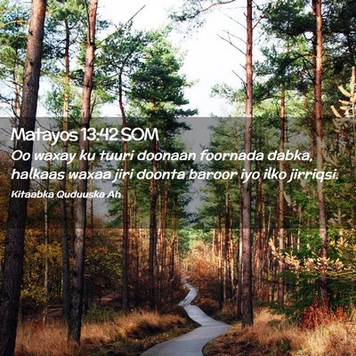 Picture 02 - Matayos 13:42 SOM - Oo waxay ku tuuri doonaan foornada dabka, halkaas - Bible Verse Picture