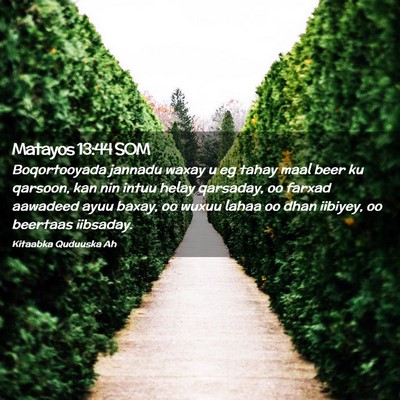 Picture 02 - Matayos 13:44 SOM - Boqortooyada jannadu waxay u eg tahay maal beer - Bible Verse Picture