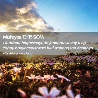 Picture 02 - Matayos 13:45 SOM - Haddana boqortooyada jannadu waxay u eg tahay - Bible Verse Picture