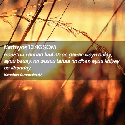 Picture 02 - Matayos 13:46 SOM - Goortuu xabbad luul ah oo ganac weyn helay, ayuu - Bible Verse Picture