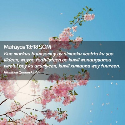 Picture 02 - Matayos 13:48 SOM - Kan markuu buuxsamay ay nimanku xeebta ku soo - Bible Verse Picture