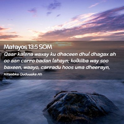 Picture 02 - Matayos 13:5 SOM - Qaar kalena waxay ku dhaceen dhul dhagax ah oo - Bible Verse Picture