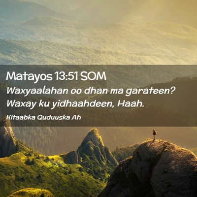 Picture 02 - Matayos 13:51 SOM - Waxyaalahan oo dhan ma garateen? Waxay ku - Bible Verse Picture