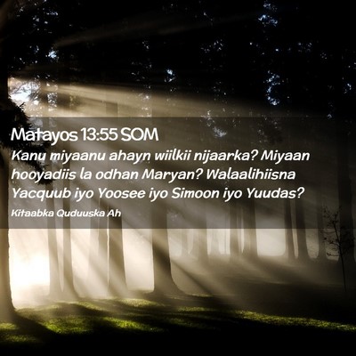 Picture 02 - Matayos 13:55 SOM - Kanu miyaanu ahayn wiilkii nijaarka? Miyaan - Bible Verse Picture