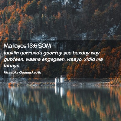 Picture 02 - Matayos 13:6 SOM - laakiin qorraxdu goortay soo baxday way gubteen, - Bible Verse Picture