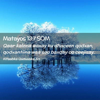 Picture 02 - Matayos 13:7 SOM - Qaar kalena waxay ku dhaceen qodxan, qodxantiina - Bible Verse Picture