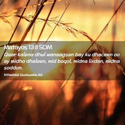 Picture 02 - Matayos 13:8 SOM - Qaar kalena dhul wanaagsan bay ku dhaceen oo ay - Bible Verse Picture