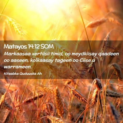 Picture 02 - Matayos 14:12 SOM - Markaasaa xertiisii timid, oo meydkiisay qaadeen - Bible Verse Picture