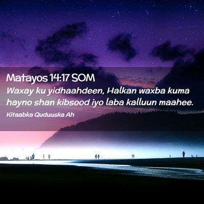 Picture 02 - Matayos 14:17 SOM - Waxay ku yidhaahdeen, Halkan waxba kuma hayno - Bible Verse Picture