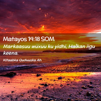 Picture 02 - Matayos 14:18 SOM - Markaasuu wuxuu ku yidhi, Halkan iigu - Bible Verse Picture