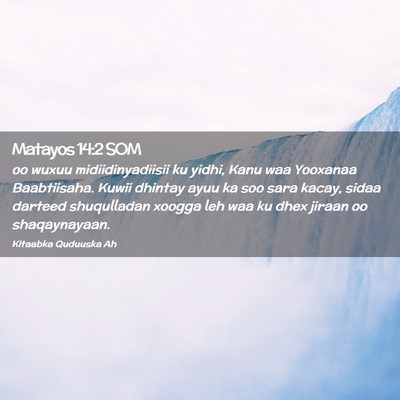 Picture 02 - Matayos 14:2 SOM - oo wuxuu midiidinyadiisii ku yidhi, Kanu waa - Bible Verse Picture