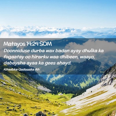 Picture 02 - Matayos 14:24 SOM - Doonniduse durba wax badan ayay dhulka ka - Bible Verse Picture