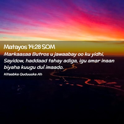 Picture 02 - Matayos 14:28 SOM - Markaasaa Butros u jawaabay oo ku yidhi, Sayidow, - Bible Verse Picture