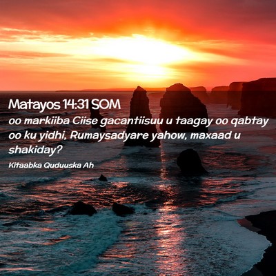 Picture 02 - Matayos 14:31 SOM - oo markiiba Ciise gacantiisuu u taagay oo qabtay - Bible Verse Picture