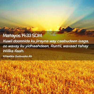 Picture 02 - Matayos 14:33 SOM - Kuwii doonnida ku jirayna way caabudeen isaga, oo - Bible Verse Picture
