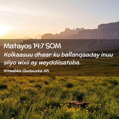 Picture 02 - Matayos 14:7 SOM - Kolkaasuu dhaar ku ballanqaaday inuu siiyo wixii - Bible Verse Picture