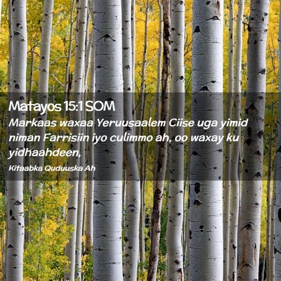 Picture 02 - Matayos 15:1 SOM - Markaas waxaa Yeruusaalem Ciise uga yimid niman - Bible Verse Picture