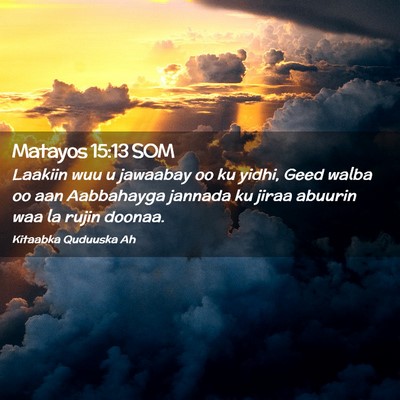 Picture 02 - Matayos 15:13 SOM - Laakiin wuu u jawaabay oo ku yidhi, Geed walba oo - Bible Verse Picture