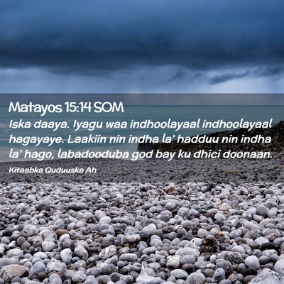 Picture 02 - Matayos 15:14 SOM - Iska daaya. Iyagu waa indhoolayaal indhoolayaal - Bible Verse Picture
