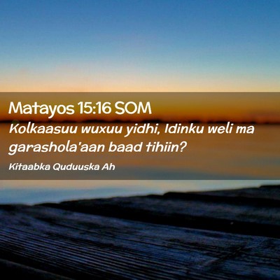 Picture 02 - Matayos 15:16 SOM - Kolkaasuu wuxuu yidhi, Idinku weli ma - Bible Verse Picture