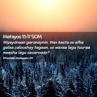 Picture 02 - Matayos 15:17 SOM - Miyaydnaan garanaynin, Wax kasta oo afka galaa - Bible Verse Picture
