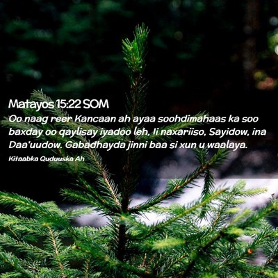 Picture 02 - Matayos 15:22 SOM - Oo naag reer Kancaan ah ayaa soohdimahaas ka soo - Bible Verse Picture