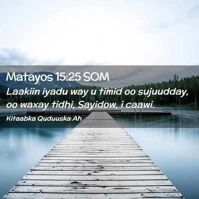 Picture 02 - Matayos 15:25 SOM - Laakiin iyadu way u timid oo sujuudday, oo waxay - Bible Verse Picture
